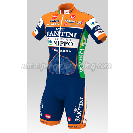 vini fantini cycling jersey