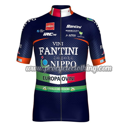 vini fantini cycling jersey